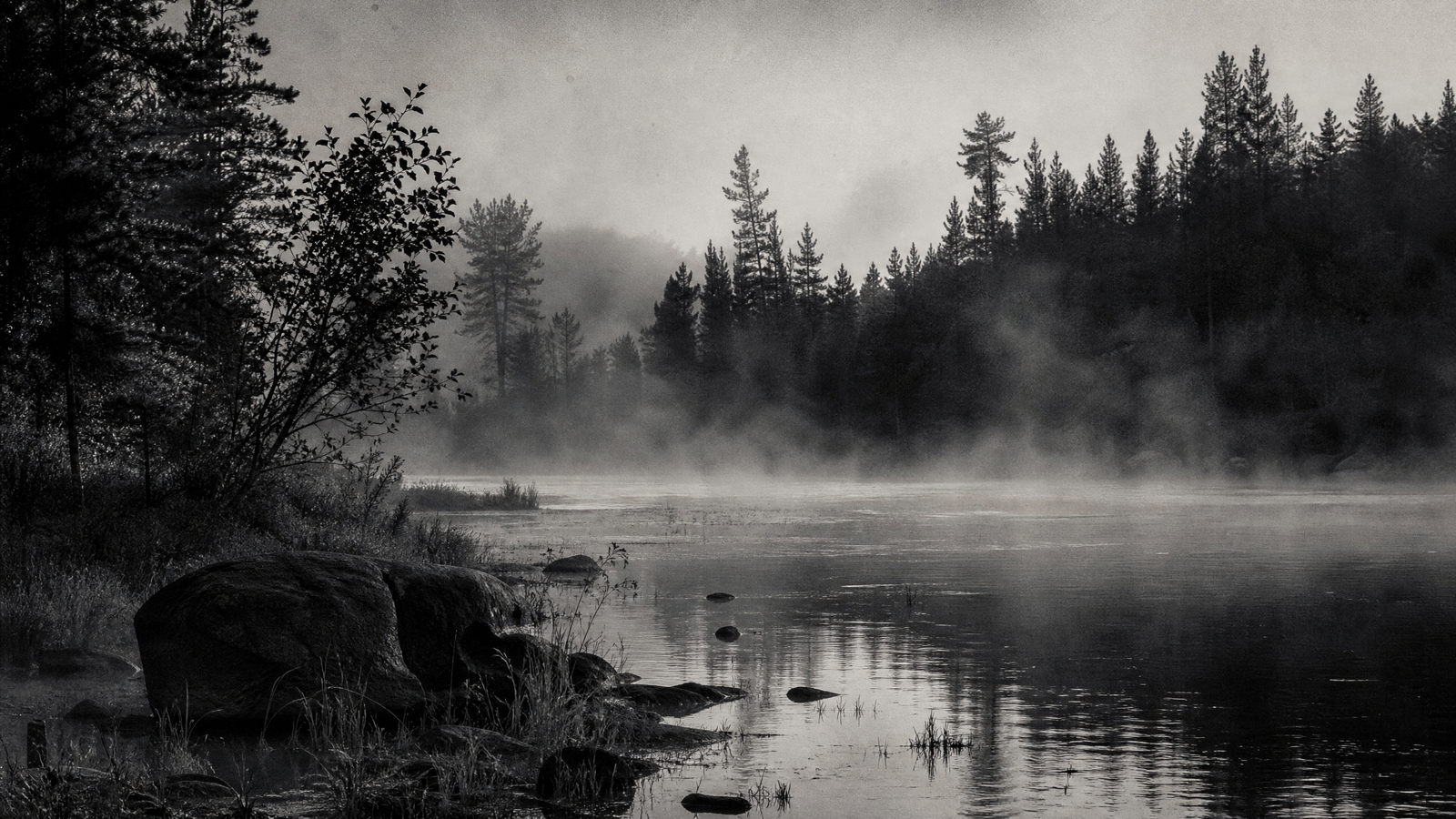 The River